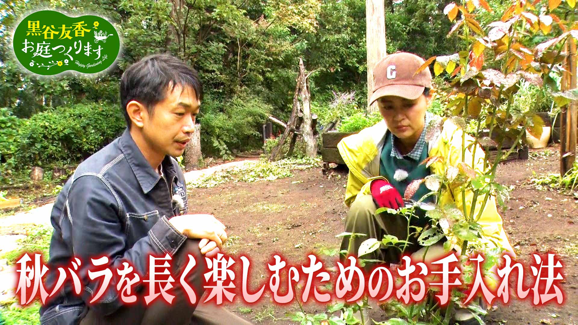 鳩舎 木製スノコ 2枚組 苗木 倉庫 盆栽 小屋 簀子 グレーチング 愛鳩の友. 26d7c76e-5a6d-4e2f-9f13-