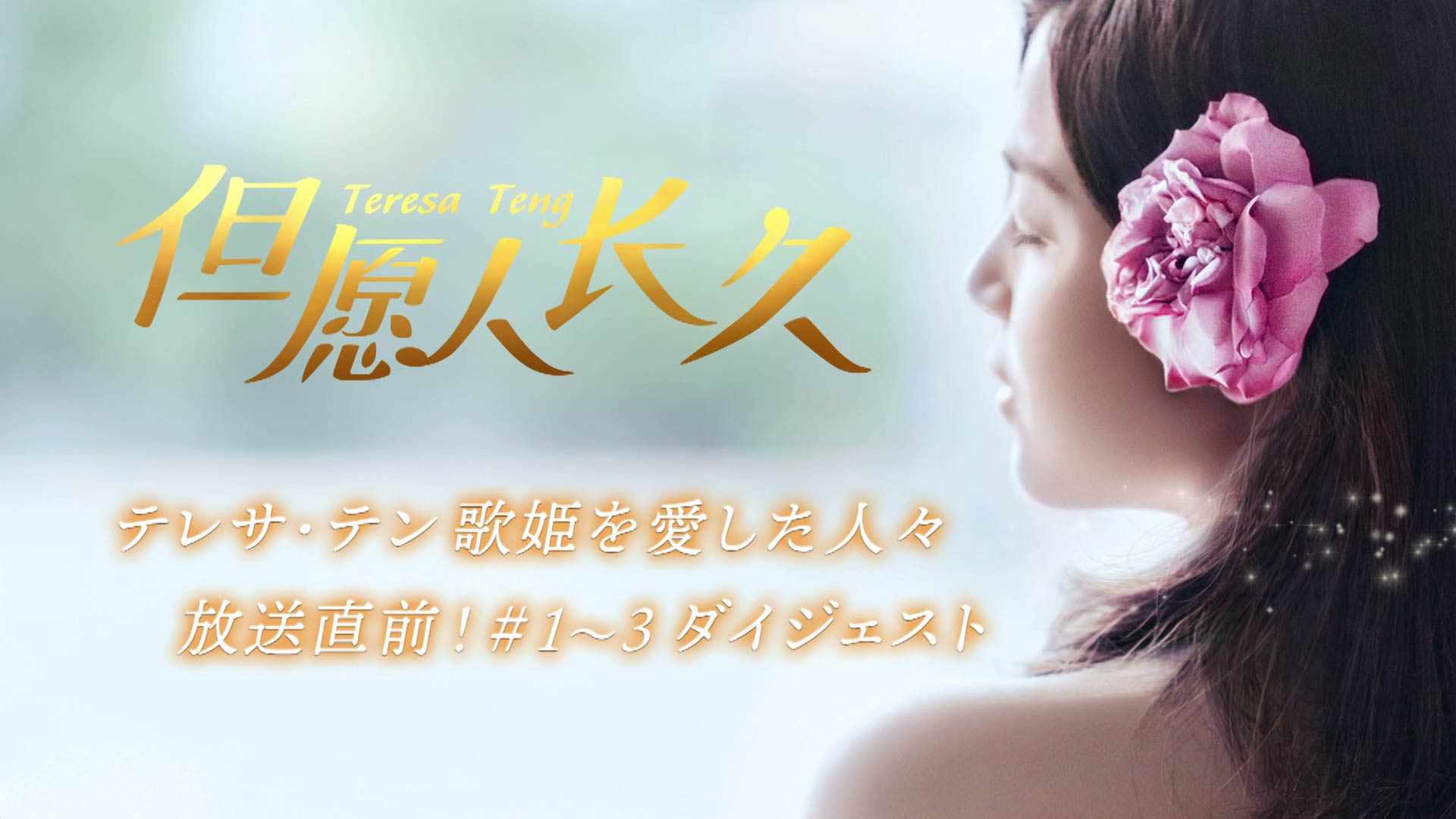 テレサ・テン 歌姫を愛した人々」ノーカット版 | ネットでBS