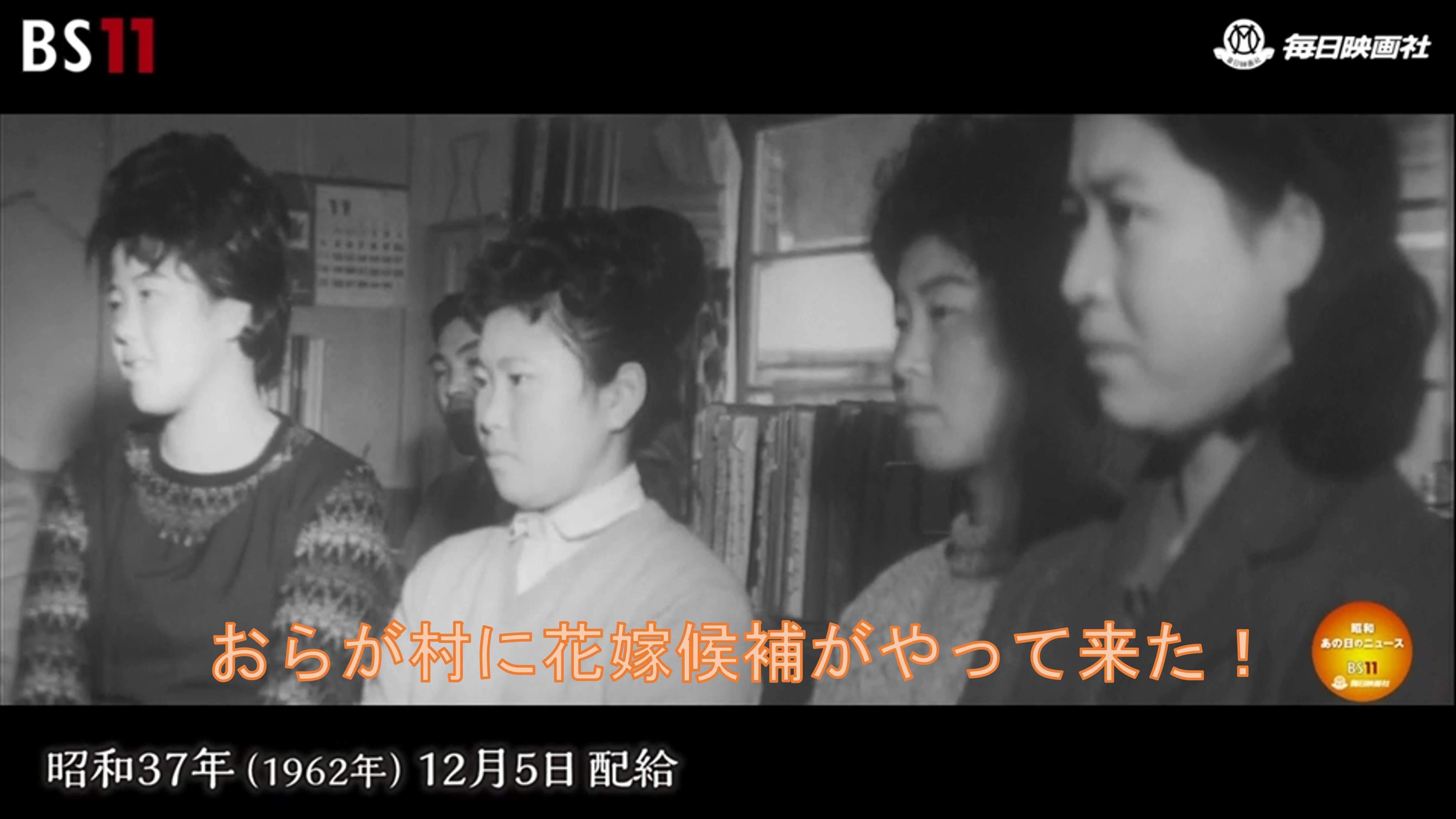 - 昭和63年醸造超辛口古酒 晴れる日さん、専用 清酒 醸造元【萱島酒造有限会社】 西の関 調理器具