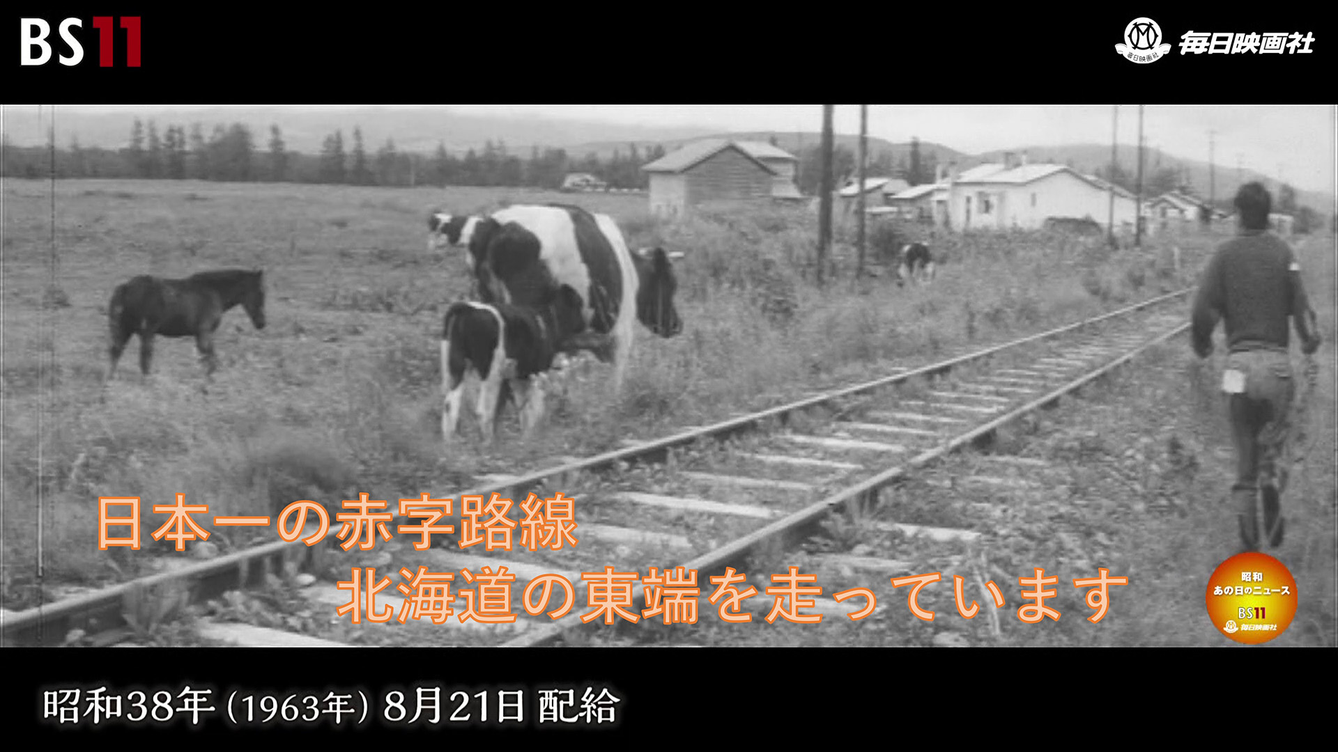 185「喫煙恐怖時代」～昭和あの日のニュース～＜昭和39年(1964）1月22