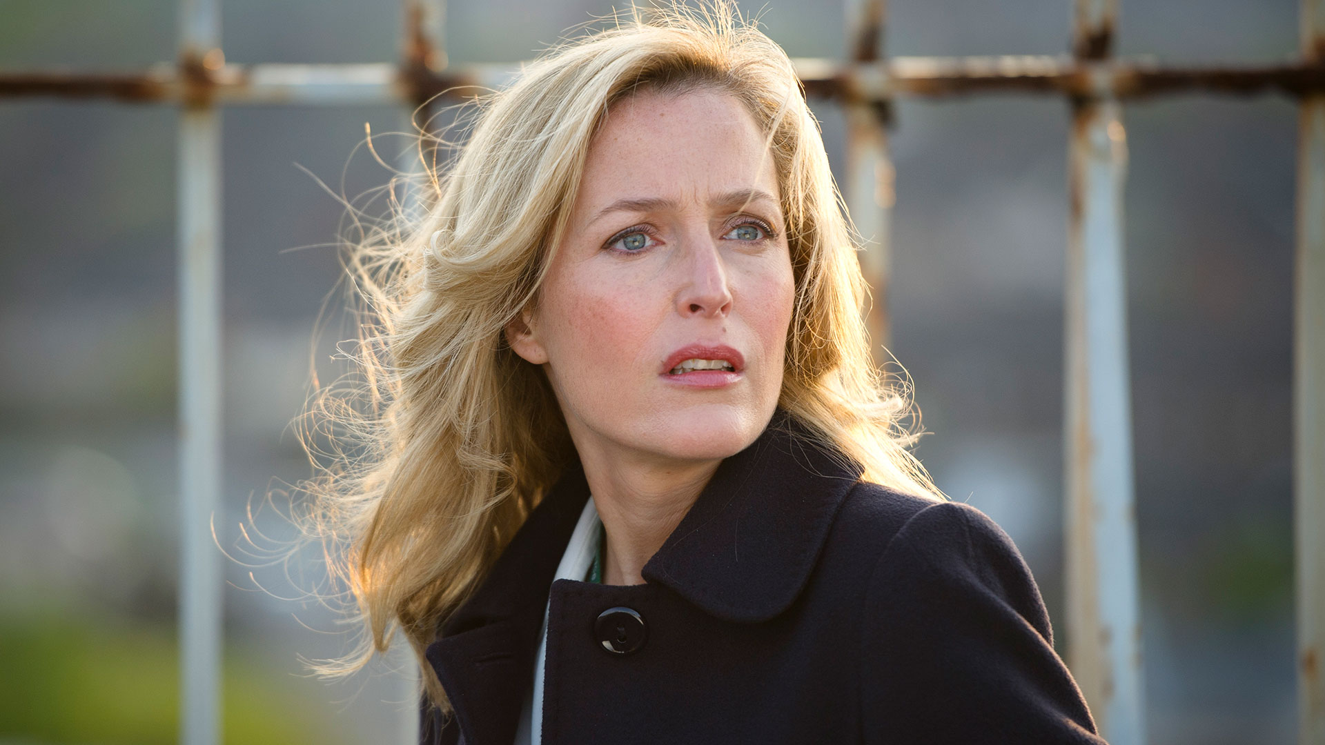 THE FALL 警視ステラ・ギブソン シーズン1 ノーカット完全版〈3枚組〉 Amazon.com: THE FALL 警視ステラ・ギブソン シーズン1