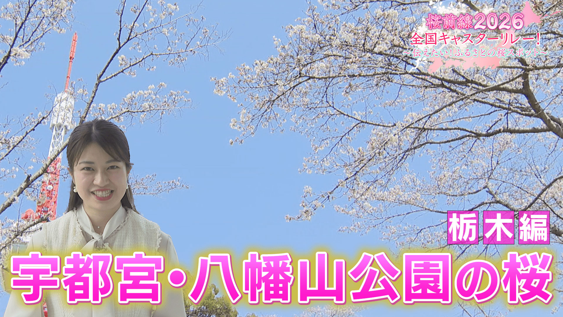 岐阜編「岐阜護国神社・鵜飼桜」 | 桜前線2026全国キャスターリレー