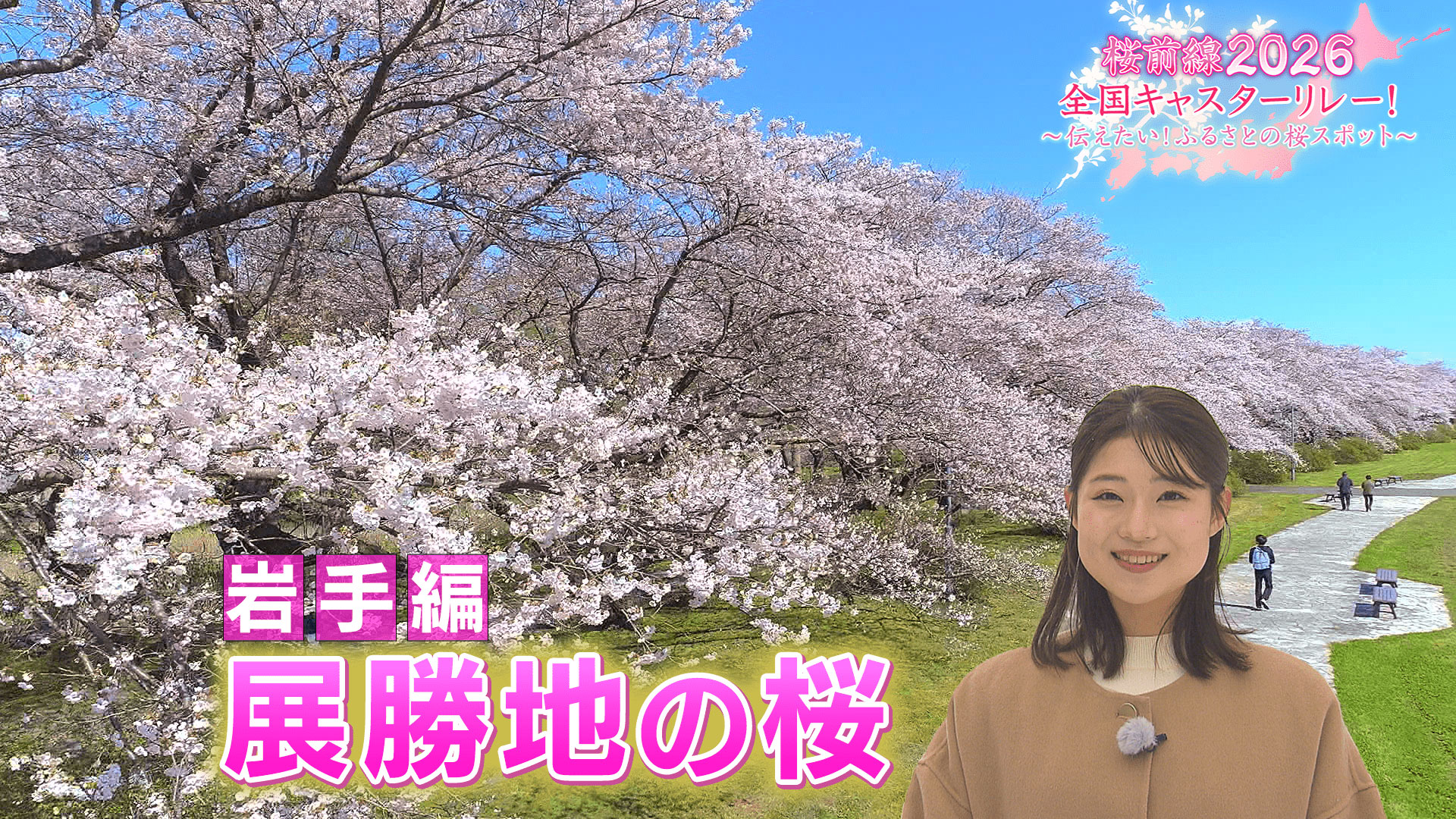 総集編 | 桜前線2026全国キャスターリレー！～伝えたい！ふるさとの桜