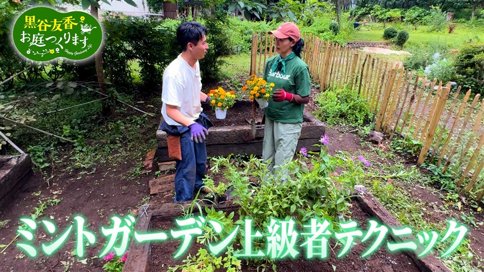 第21話「ミントガーデンに挑戦＆ベランダハーブの育て方のポイント