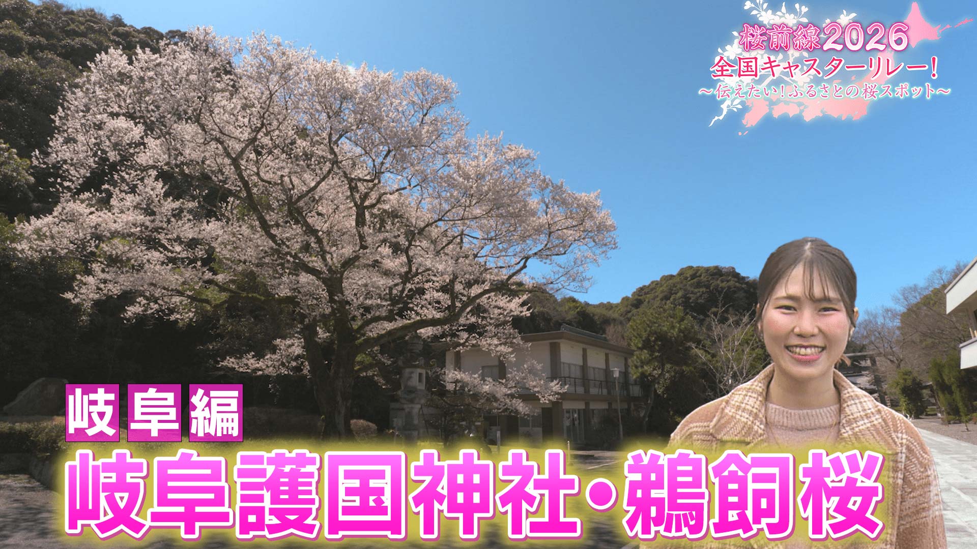 いにしえの桜　岐阜県瑞穂市 岐阜編「岐阜護国神社・鵜飼桜」 | 桜前線2026全国キャスターリレー