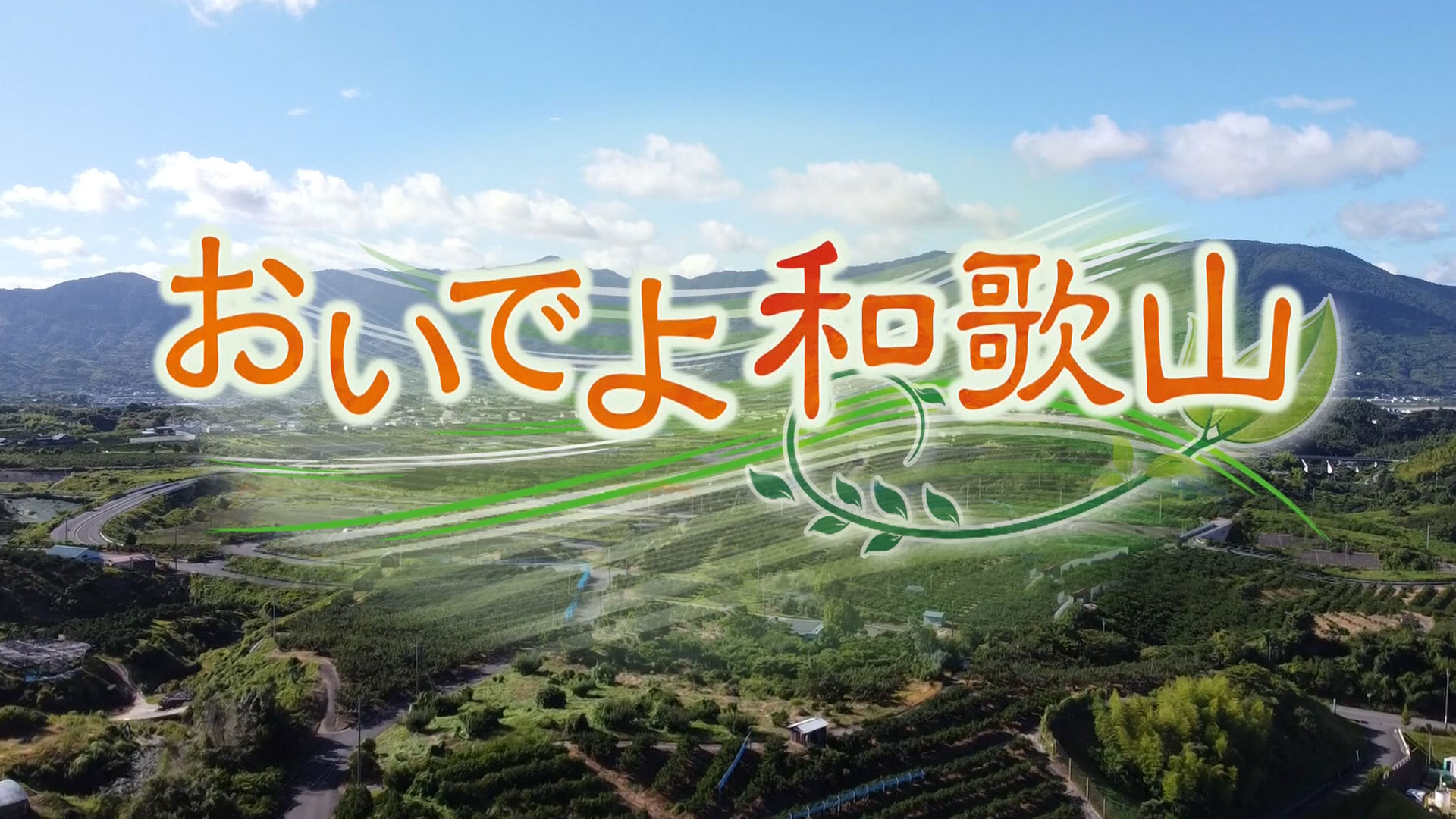 【中古】 OD＞和歌山県の民話OD版 program-oideyo-wakayama-2021.jpeg